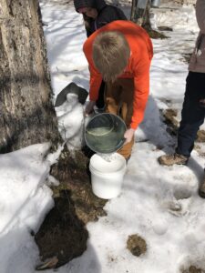 Maple Weekend