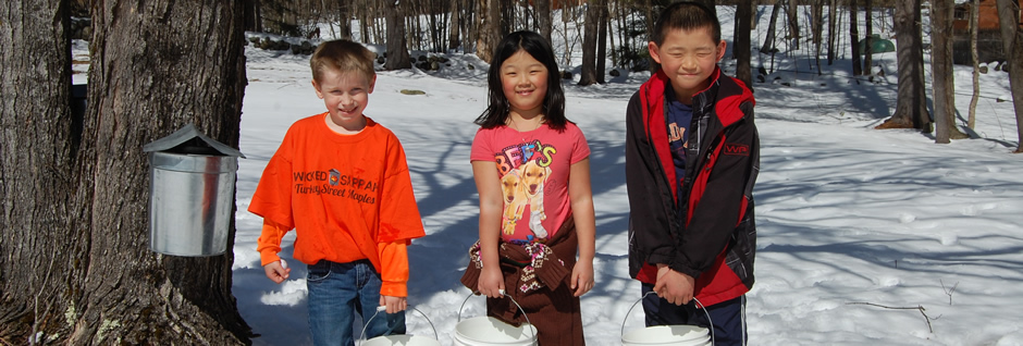 Best Maple Syrup Maple Weekend
