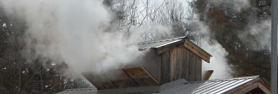 making maple syrup