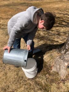 Maple Weekend