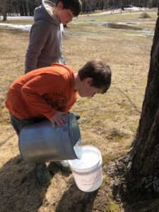 Maple Weekend