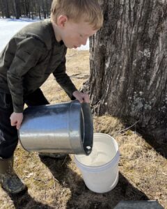 Maple Weekend
