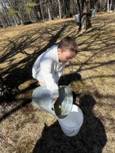 Maple Weekend